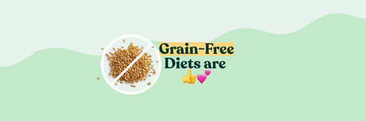 Why Little Hunter Is (and Advocates for) Grain-Free