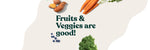 Do Dogs Need Fruits and Vegetables?
