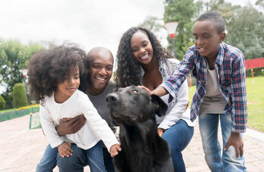 5 Ways to Smoothly Introduce a New Pet into your Home