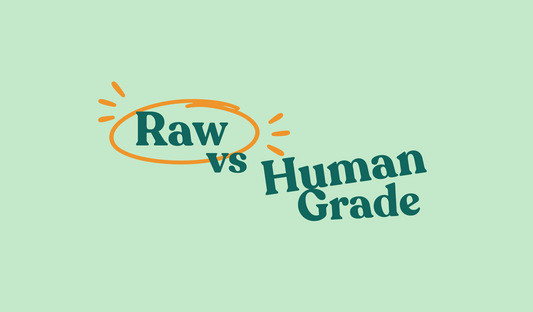 raw vs human grade food