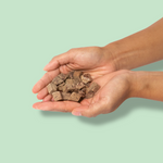beef liver raw dog food treats in hand