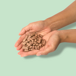 duck morsel raw dog food treats in hand