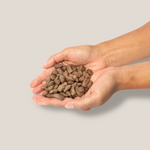 raw chicken dog food meal in hand