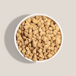 raw salmon white fish dog food meal in bowl