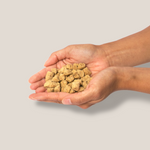 raw salmon white fish dog food meal in hand