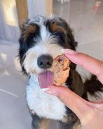 Little Hunter Freeze Dried Raw Chicken Heart Treats Up-close